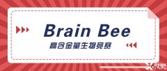 神經(jīng)科學生必選的Brain Bee腦科學大賽詳解，5-12年級均可參加