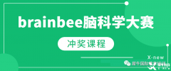 BrainBee競賽為何值得參加？BrainBee培訓課程推薦