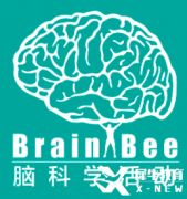 Brain bee腦科學競賽報名即將開啟，5-12年級均可參加的生物競賽~