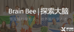 零基礎(chǔ)入門Brain Bee腦科學(xué)競賽，Brain Bee生物競賽輔導(dǎo)課程推薦！