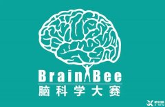 Brainbee腦科學(xué)競賽含金量高嗎？犀牛Brainbee競賽沖刺基礎(chǔ)班報名中~