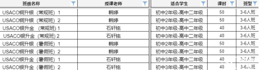 2024年USACO美國計(jì)算機(jī)競(jìng)賽培訓(xùn)班