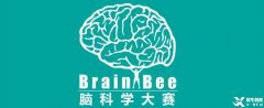 為什么Brain Bee腦科學(xué)大賽越來越受歡迎？附24年Brain Bee比賽時間