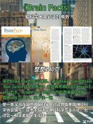 Brainbee腦科學(xué)大賽是什么？犀牛Brainbee競賽培訓(xùn)班還在招生中……