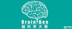 Brain Bee腦科學大賽備考須知！備考Brain Bee競賽考前輔導培訓班有嗎？