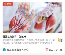 2024年BBO生物競賽怎么報名？建議同時報名BBO&USABO！