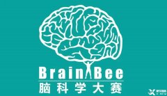 Brainbee腦科學大賽，零基礎(chǔ)居然也能參加的生物競賽！