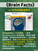 【生物競賽】Brainbee腦科學(xué)大賽幾年級可以參加？含金量如何？附Brainbee競賽pdf教材