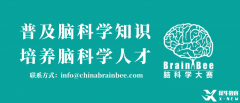 2025BrainBee腦科學大賽開始報名！BrainBee報名考試時間/報名方式/考試大綱奉上！