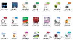 IGCSE課程是什么：國際教育“黃金跳板”，如何助力孩子沖擊世界名校?