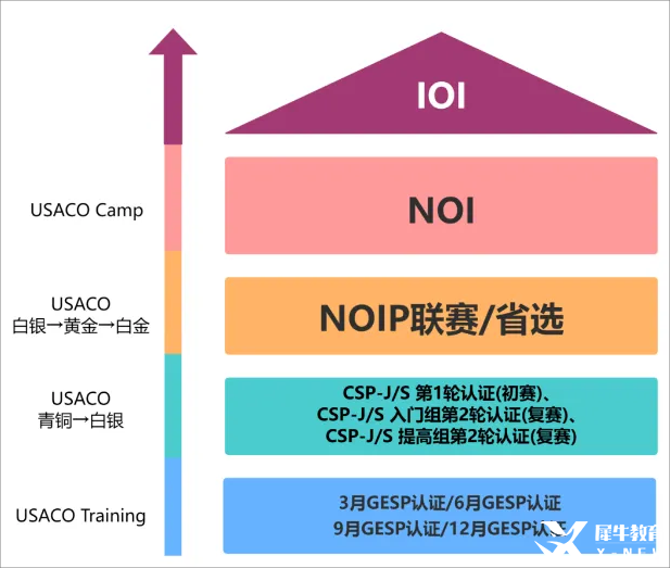 【一文講清USACO競賽】國際生必看的計(jì)算機(jī)奧賽USACO深度解析！機(jī)構(gòu)USACO暑期集訓(xùn)營助你沖刺名校!