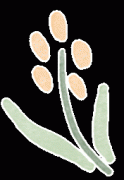 零基礎(chǔ)可以參加AMC8競(jìng)賽嗎?AMC8競(jìng)賽培訓(xùn)班介紹！