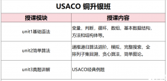 USACO銅升銀/銀升金/金升鉑金競(jìng)賽培訓(xùn)，暑期多種班型任選！