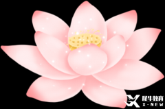 暑假IGCSE課程開(kāi)課，全國(guó)30+校區(qū)