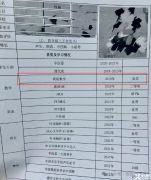 袋鼠數(shù)學(xué)競賽一文講清楚！袋鼠數(shù)學(xué)競賽適合幾年級？