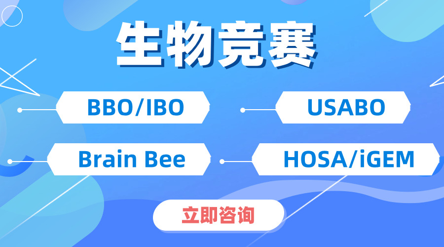 USABO與BBO的雙賽并行，不僅是獎項的疊加，更是能力的飛躍！